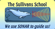 SONAR Dolphin